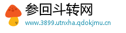 参回斗转网